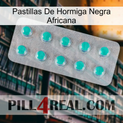 African Black Ant Pills 28